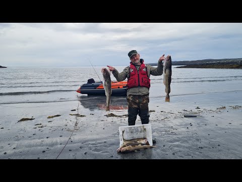 Видео: Рыбалка на Баренцевом море. #рыбачий  #баренцевоморе