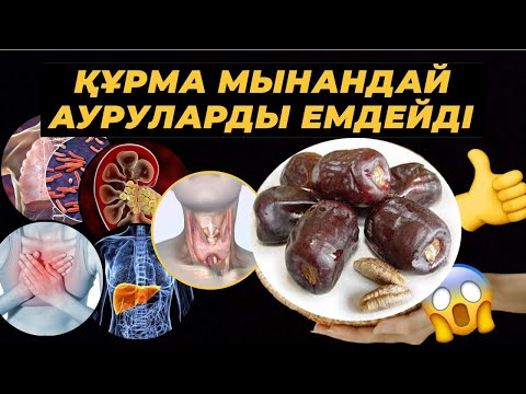 Видео: Құрманың денсаулыққа 20 түрлі пайдасы | Құрма - адамзат баласының барлығына әйгілі ең көне жеміс.