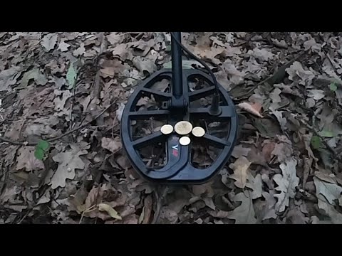 Видео: Не БИТАЯ ХАТА в лесу! Куча ЗОЛОТА! Клад? Hoard of coins, treasures,  metal detecting, gold detecting