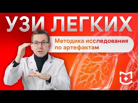 Видео: УЗИ легких: как артефакты помогают оценить состояние легких?