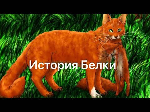 Видео: История Белки(по просьбе Милены)/Коты-воители