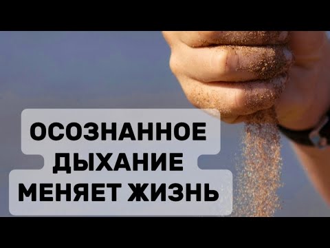 Видео: ОТСУТСТВИЕ тенденции к сопротивлению