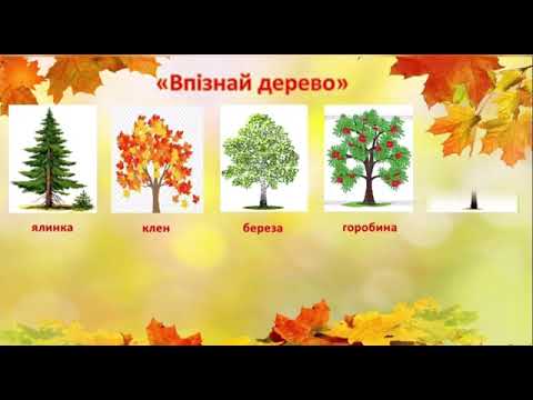 Видео: Підсумкове заняття  "Чарівна осінь" старший дошкільний вік.