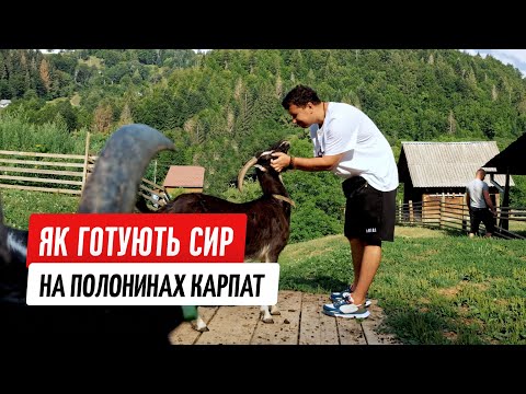 Видео: Крафтовые сыры Карпат: секреты и традиции гуцулов