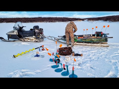 Видео: ОНИ ЖРУТ ВСЕ!!!  НАПАЛИ НА ЖЕРЛИЦУ!!!  ЭТО   ЗИМНЯЯ РЫБАЛКА НА ЖЕРЛИЦЫ В ЗАПОЛЯРЬЕ!!!