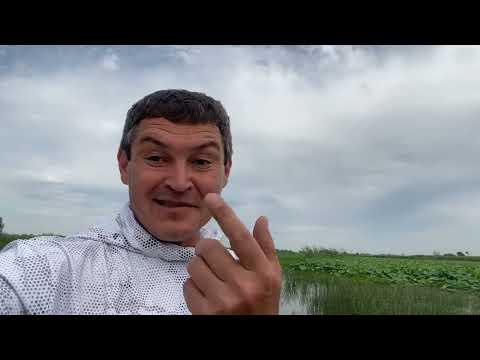 Видео: Рыбалка Маково 10.07.2025.