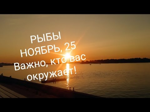 Видео: РЫБЫ НОЯБРЬ 2025 года Основные сферы жизни