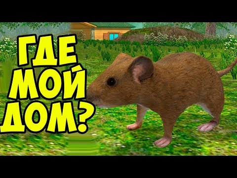 Видео: 😍СИМУЛЯТОР МЫШИ🐁 Где дом для мышонка? Ухаживаю за питомцем