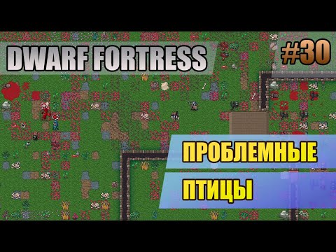 Видео: 30 Проблемные птицы // Dwarf Fortress прохождение // Первый сезон