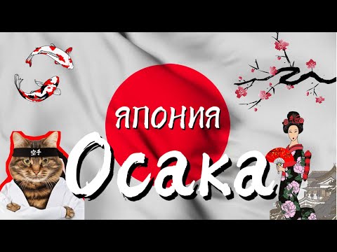 Видео: ЯПОНИЯ || ОСАКА || 2024 год || Что посмотреть, цены на еду. Замок Осаки,Umeda Sky Duilding,Дотонбори
