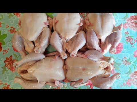 Видео: ЗАЧЕМ я покупаю сразу 5 кур??🐔 Ответ вас удивит!😲😲