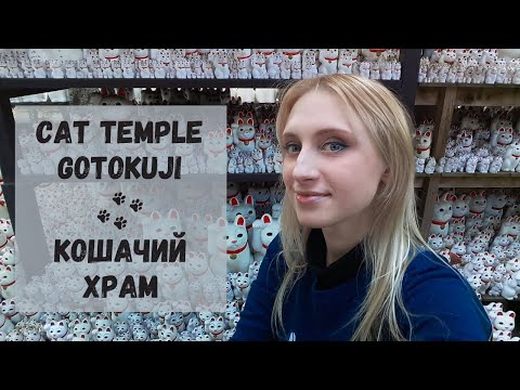 Видео: ХРАМ ТЫСЯЧИ КОШЕК: месторождение Манеки Неко (кот удачи),значение кошек в Японии, экскурсия по Токио