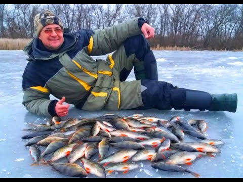 Видео: Все ТОНКОСТИ и РАБОЧИЕ проводки на БЕЗМОТЫЛКУ. Рыбалка на  ОКУНЯ в глухозимье!