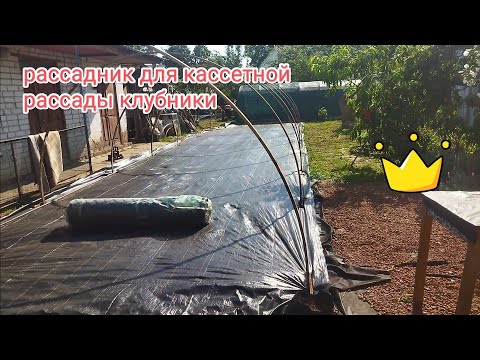 Видео: Рассадник для кассетной рассады , без фогеров 