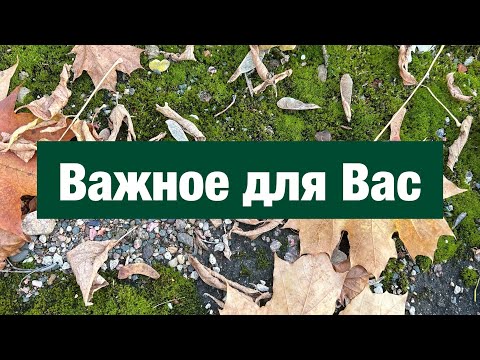 Видео: А после ходит тревожный,но спокойный наружно.Говорит кому-то:Ведь теперь тебе ничего?Не страшно?Да?!