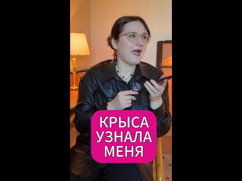 Видео: МОШЕННИК ОКАЗАЛСЯ МОИМ ПОДПИСЧИКОМ / РАЗОБЛАЧЕНИЕ И ПРИЗНАНИЕ ТЕЛЕФОННОГО АФЕРИСТА