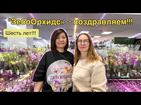 Видео: “Zeboorhids” - шесть лет любимому магазину орхидей! 🔥🔥🔥
