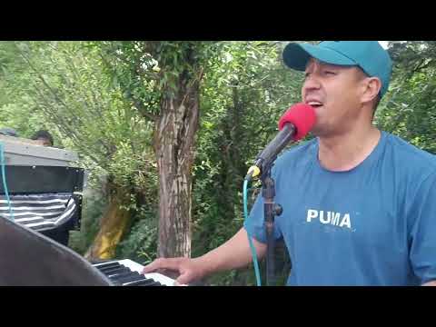 Видео: Баходур туя кафонд