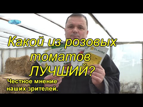 Видео: Розовые высокорослые томаты - какие из них самые лучшие?