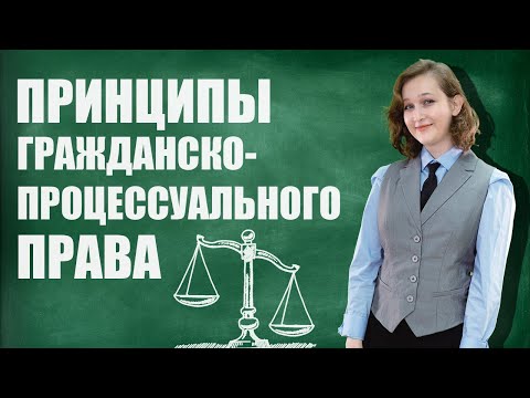 Видео: Принципы гражданско-процессуального права