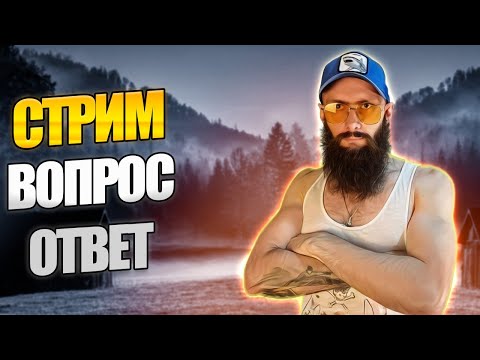 Видео: ВОПРОС - ОТВЕТ Viking Rise #vikingrise