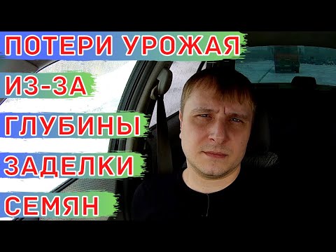 Видео: Как глубина заделки семян влияет на урожайность