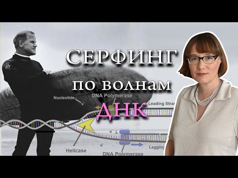 Видео: Кэри Муллис: гений, злодейство и ПЦР