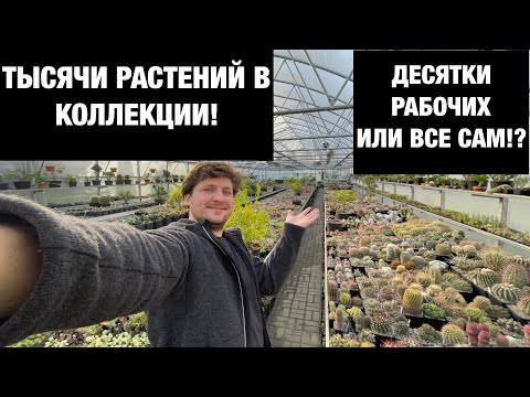 Видео: Сколько растений у меня в коллекции. Сколько человек ухаживает за теплицей. Обзор 02.11.2021