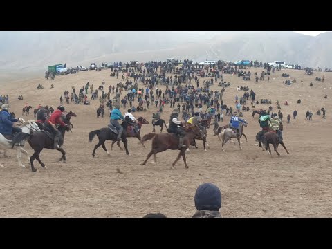 Видео: Буз каши дар Дангара дехаи Четирган 1 декабря 2024 г.