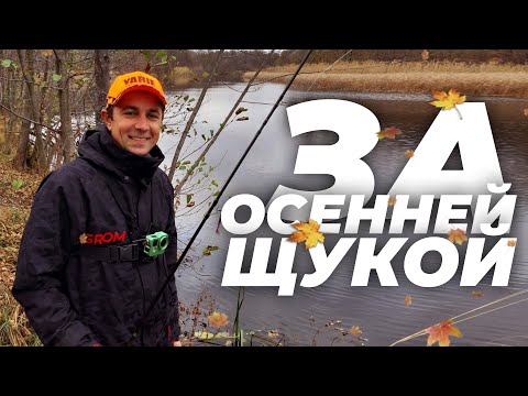 Видео: За осенней щукой на Ворсклу! Как найти щуку? На какую приманку поймать?