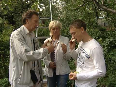 Видео: Лотенков