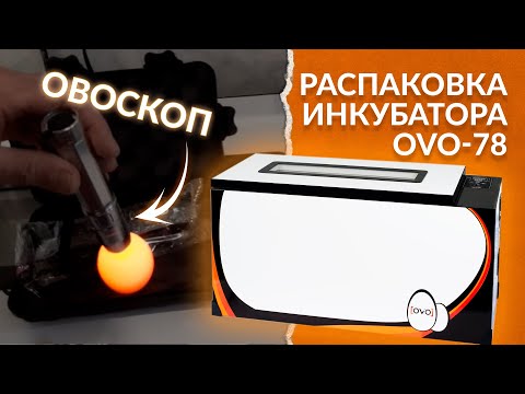 Видео: Распаковка инкубатора OVO-78 и овоскопа