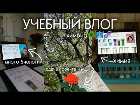 Видео: УЧЕБНЫЙ ВЛОГ ХИМБИО📚🦠//подготовка к ЕГЭ и школьные будни
