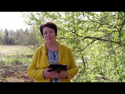 Видео: 1715. Хлеб на каждый день. Ответ царя.