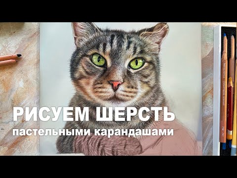 Видео: РИСУЕМ ШЕРСТЬ КОТА