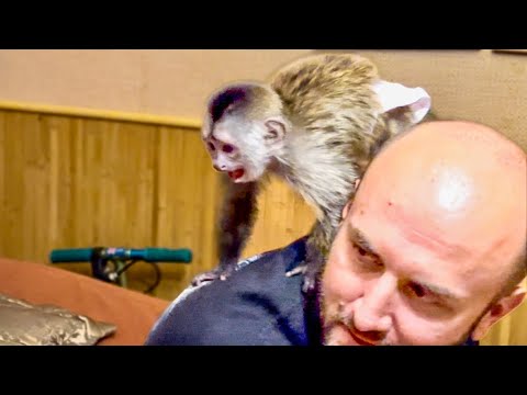 Видео: ПЕРВАЯ РЕАКЦИЯ ФИНИКА НА ЛЮСЬКУ! Мы такого не ожидали, Финик стал ЗАЩИЩАТЬ Анфису! 
