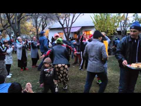 Видео: пастхуф 08 11 2015