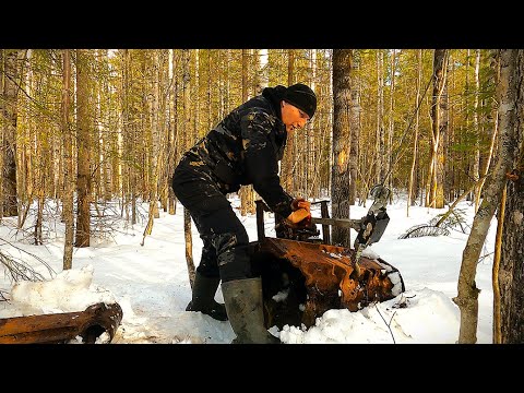Видео: Последние дни зимнего металлокопа. Сотни траков! Задние мосты,  рельсы. Вывожу металл к дороге.