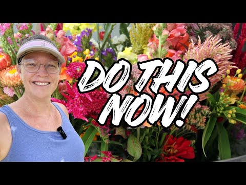 Видео: 🌸 Сделайте это СЕЙЧАС! Семена цветов для срезки прямо на грядку для весеннего сада