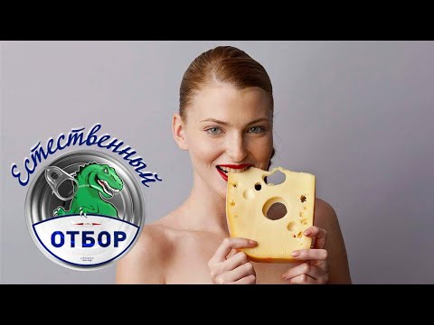 Видео: "Естественный отбор". Сыр