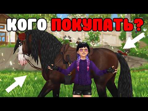 Видео: Какую лошадь лучше купить в 2025 году? | Очень много НЮАНСОВ