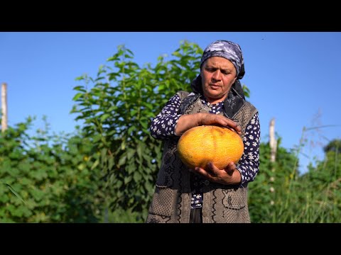 Видео: Собираем Урожай Дыни и Делаем Сироп
