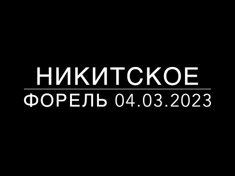 Видео: Никитское, Московская область. Ловля форели на силиконовые прманки. 04.03.2023