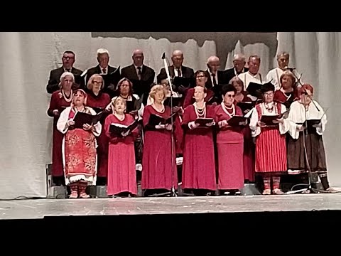 Видео: Разговор со Снежана Андова и Љубица Кузмановска од здружение на пензионери „Куманово“