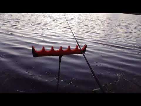 Видео: Осенняя рыбалка на карася. #fishing # карася #рыбалканафидер#  попловочная рыбалка