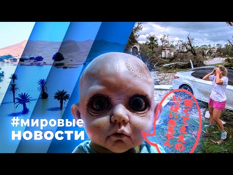 Видео: МИРОВЫЕ НОВОСТИ – 11 октября 2024