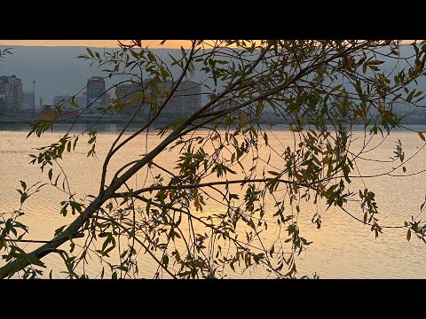 Видео: Уютный день/ В гостях у деверя/ Моменты из жизни горянки.