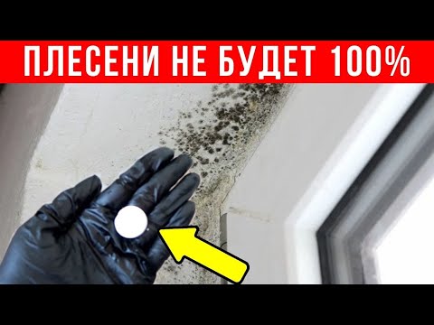 Видео: 1 ТАБЛЕТКА и ЧЕРНОЙ ПЛЕСЕНИ на окнах не будет НИКОГДА