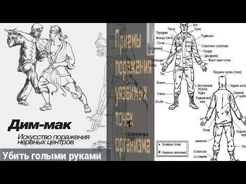Видео: Дим Мак искусство поражение нервных центров . Вадим Старов смертельный удар по точкам и реанимация.