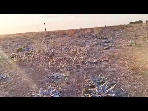 Видео: 22 августа 2025 г.